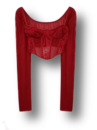 red long sleeve Lace Mesh Square Neck Long Sleeved Corset Top