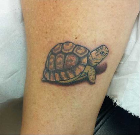 tortoise tattoo