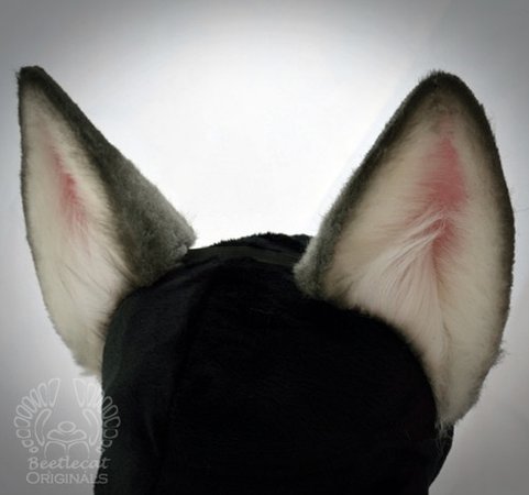 Fox ears