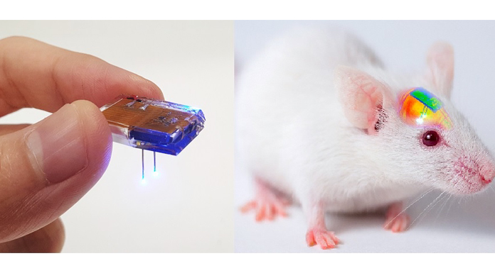 brain implant chip — apparently can control animal behaviour (idk didn’t read article)