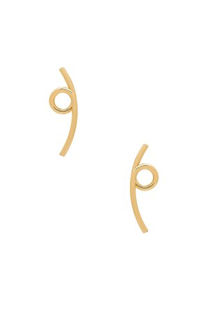 The Loops Earrings
