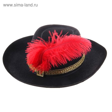 Карнавальная шляпа с пером, цвет чёрный, р-р 57-58 (326227) - Купить по цене от 275.60 руб. | Интернет магазин SIMA-LAND.RU