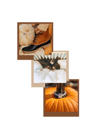MiJay Proposal - Pumpkin Patch
