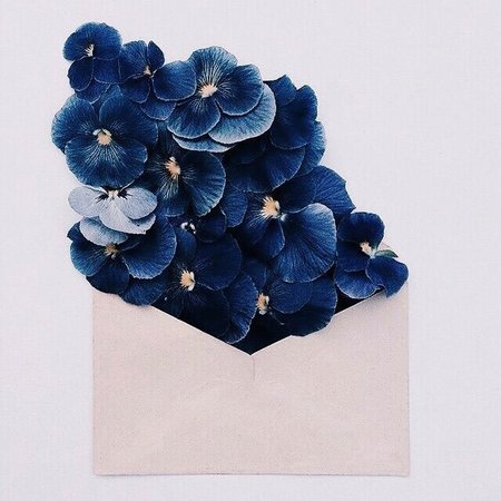 flower letter envelope