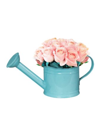 spring flowers watering can png filler blue pink
