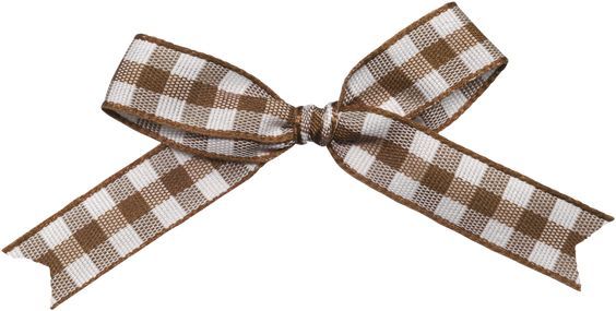 brown and white bow cottagecore png