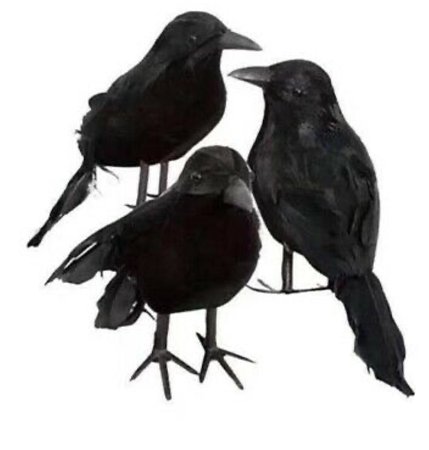 faux crows ravens