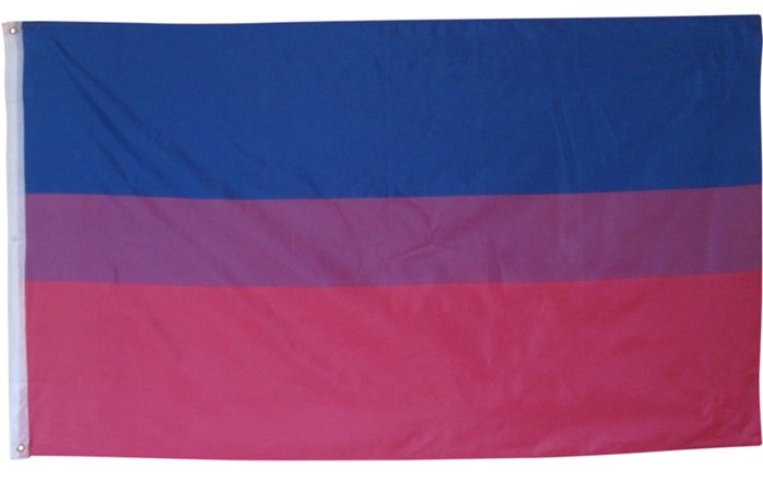 bi pride flag