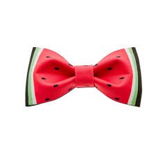 watermelon bow - Google Search