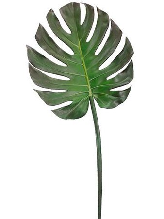tropical single lime green stem - Google Search