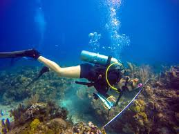 female marine biologist - Google Search