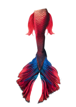 red mermaid tail png - Google Search