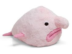 blobfish a plushie