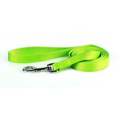 Collars & Leashes - Dog