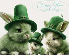 St. Patrick's Day Bunnies
