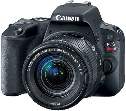 Amazon Canada: Canon EOS Rebel SL2 DSLR Camera with EF-S 18-55mm STM Lens - WiFi Enabled, Black - 2249C002