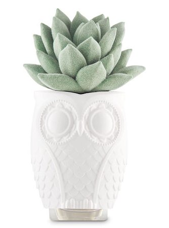 Succulent & Owl Wallflowers Fragrance Plug | Bath & Body Works