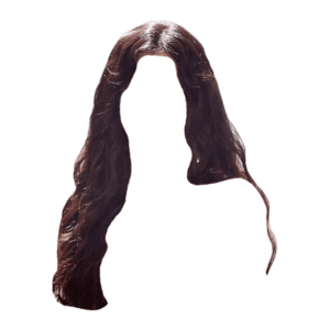 Dark Brown Hair PNg