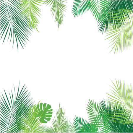 Tropical Palm Leaves PNG, Palm, Tropical Leaves, Leaves PNG and Vector for Free Download