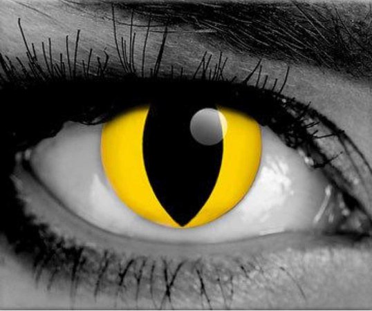 yellow cat eye contact