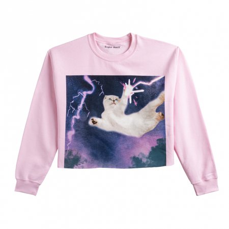 PINK CROPPED SWEATSHIRT | Taylor Swift Official Online Store