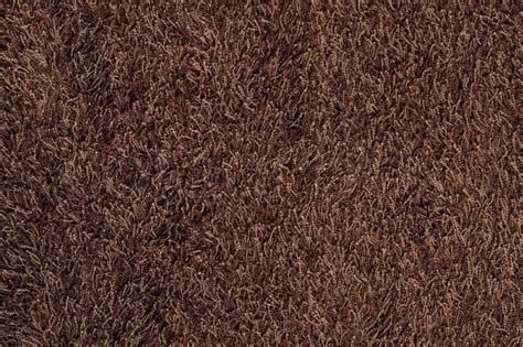 brown shag carpet images at DuckDuckGo