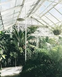 botanical garden aesthetic - Поиск в Google