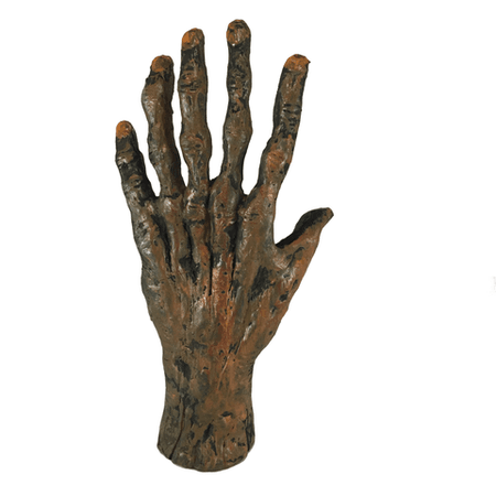 Bizarre! 6 Finger Mummy Hand – asylumzone