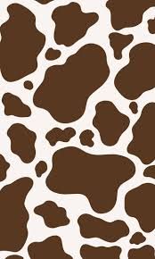 cow print aesthetic - Google Search