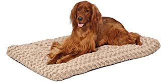 Amazon.com : Dog Beds & Furniture