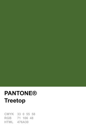 Pantone Treetop