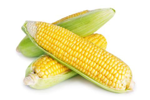 Sweet corn | LYOVIT