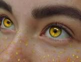 Yellow eyes - Google Search