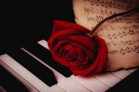 music and roses - Google Search
