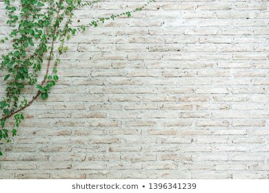 wall-made-brick-painted-white-260nw-1396341239.jpg (390×280)