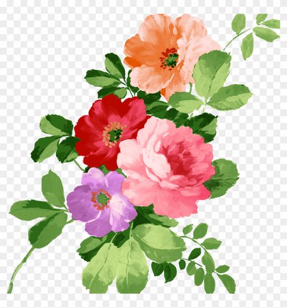 flowers png - Google Search