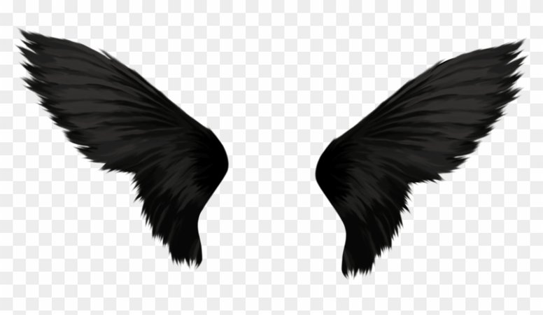 Free Png Download Black Wings Png Images Background - Black Angel Wings Transparent, Png Download - 850x419(#329618) - PngFind