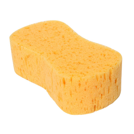 yellow sponge