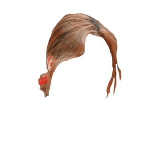 Short Ponytail Bun Light Brown Hair PNG