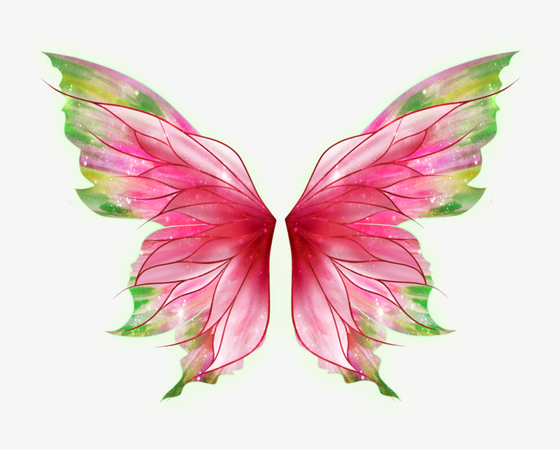 pink and green fairy wings