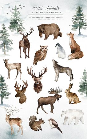 winter animals