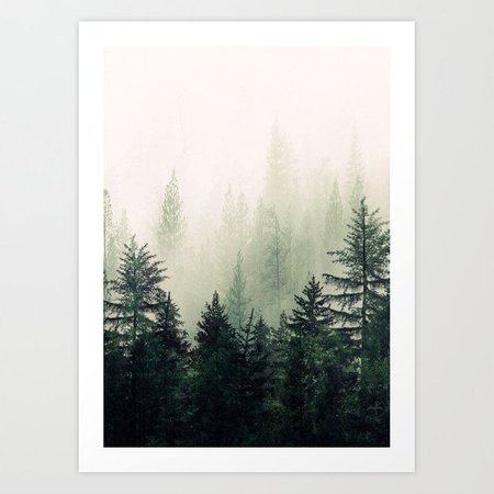 Foggy Pine Trees Art Print by andreas12 | Society6