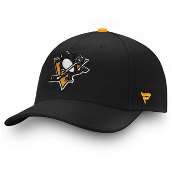 Pittsburgh penguins hat
