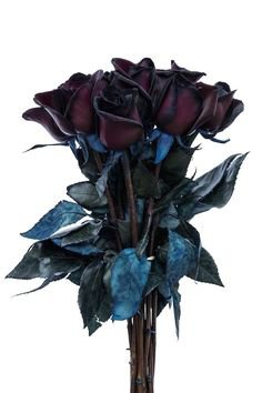 Black rose bouquet