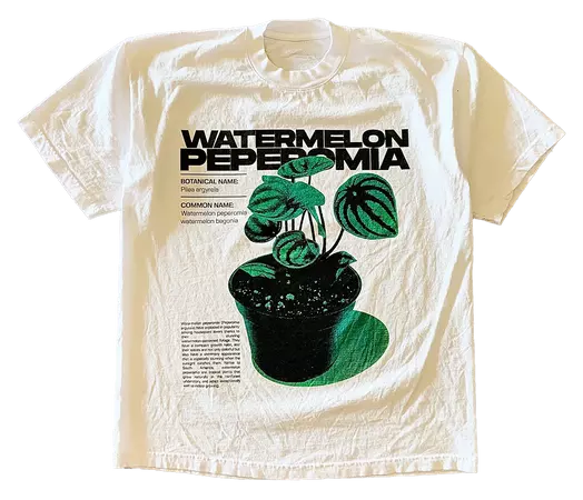atthemoment - Watermelon Peperomia Tee