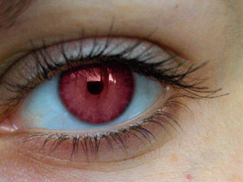 real pink eyes color - Google Search