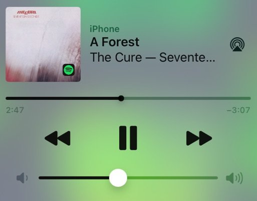 A forest the cure