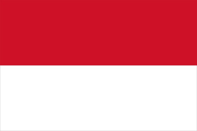 indonesia flag 1