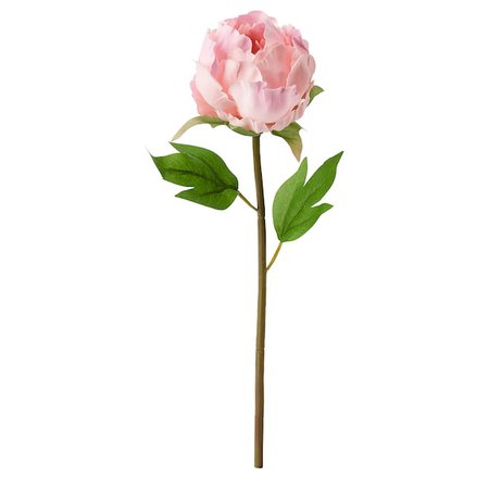 SMYCKA Artificial flower - Peony, pink - IKEA