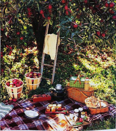 Encore! Life, | ♕ |  Apple Orchard Picnic  (via girlyme |...